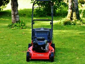 一戸建て 一軒家での芝刈り