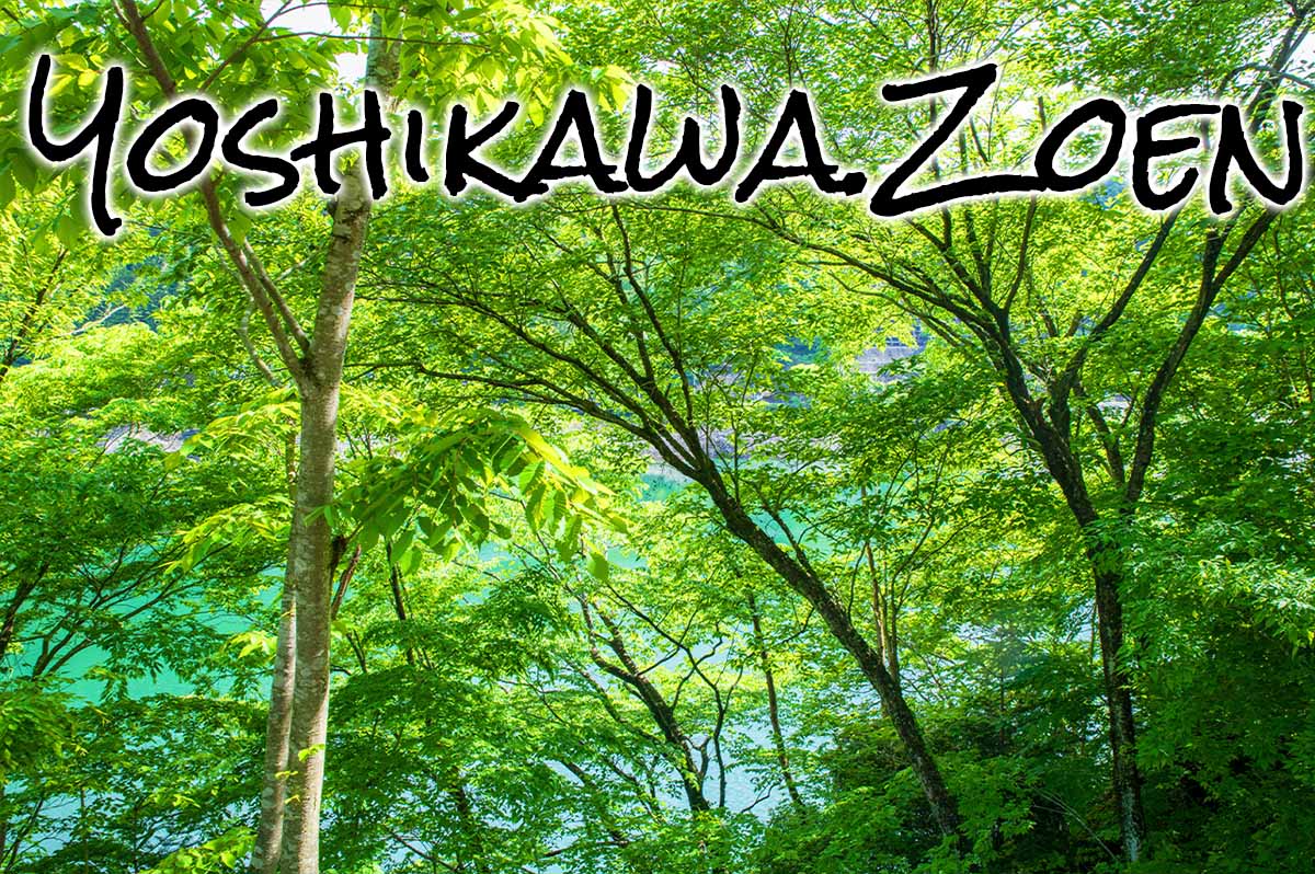 安心・信頼・実績。福岡市内 福岡地区の雑木林や竹林伐採 庭木・植木の剪定 草刈り 芝刈り 生垣の刈り込み、雑木林・竹林の伐採なら吉川造園にお任せください。