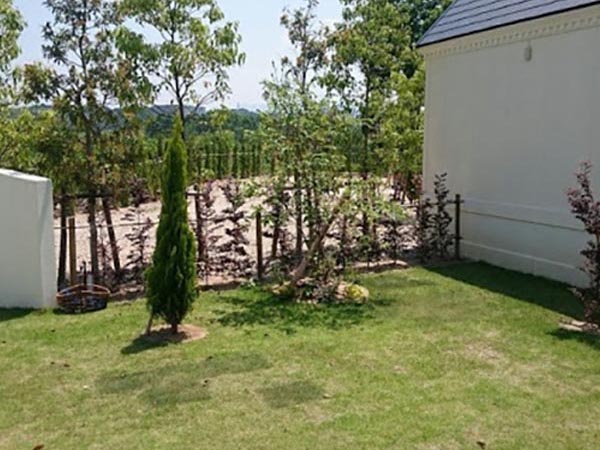 空き家の月極めでの除草作業・草刈り 維持管理